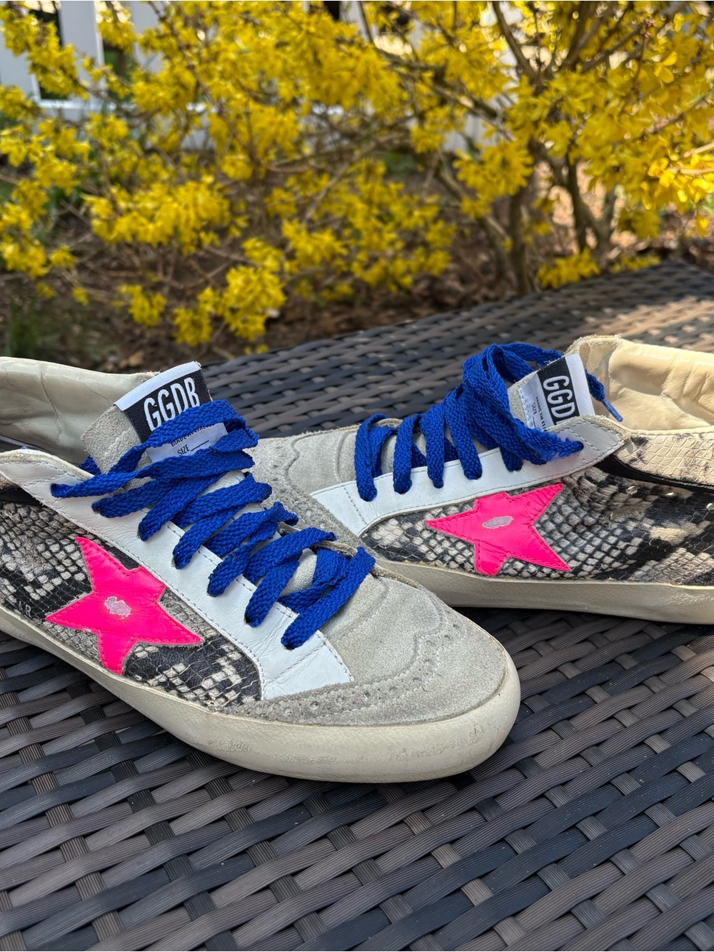 Golden Goose Women's Sneakers with Hot Pink Star and Royal Blue Laces